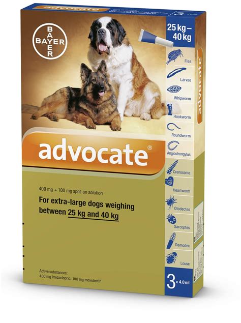 vermifuge chien pipette|ADVOCATE® 40 mg + 10 mg solution pour spot.